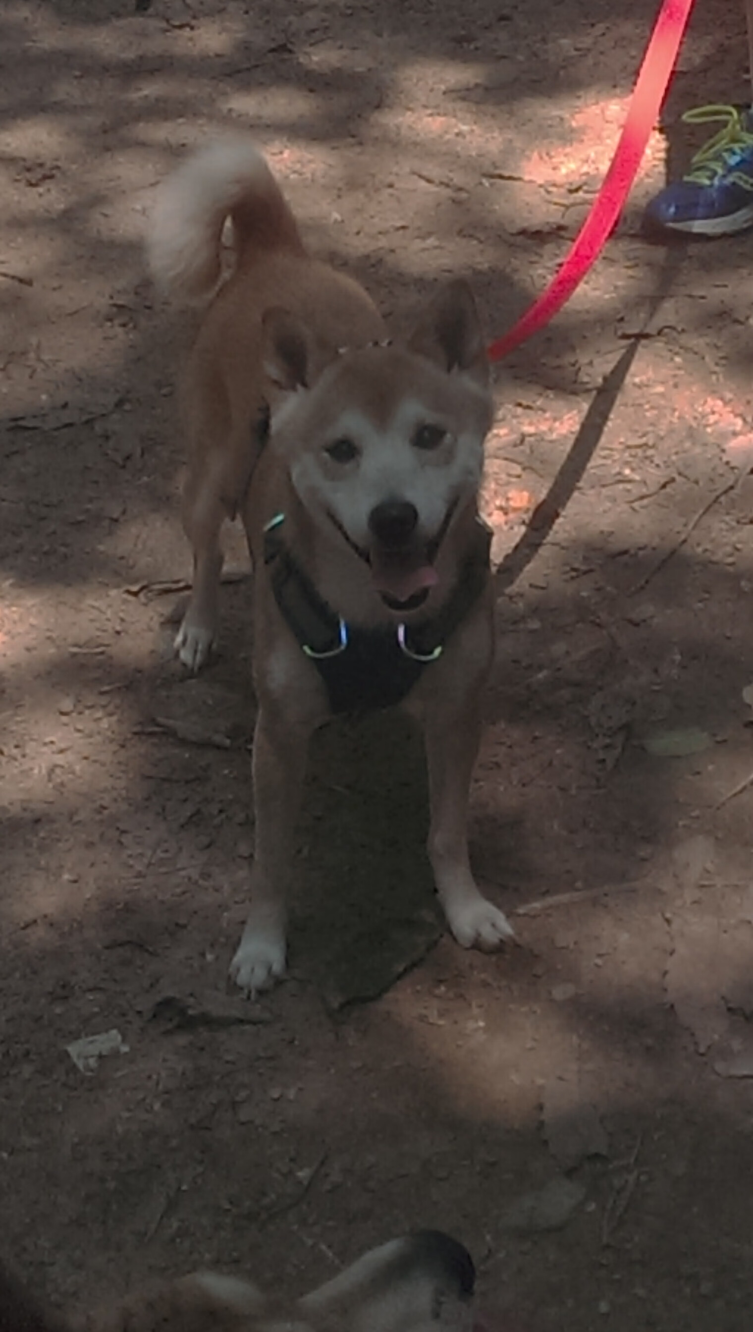 历史回顾：台球比赛中的经典瞬间，台球比赛精彩时刻