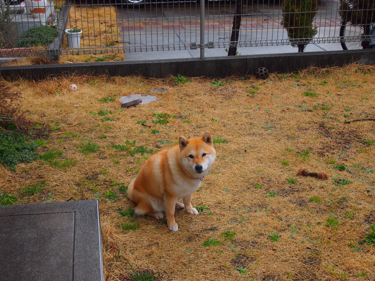 _赛场上的感人时刻:运动员互相鼓励传递正能量_,激励运动员的说辞