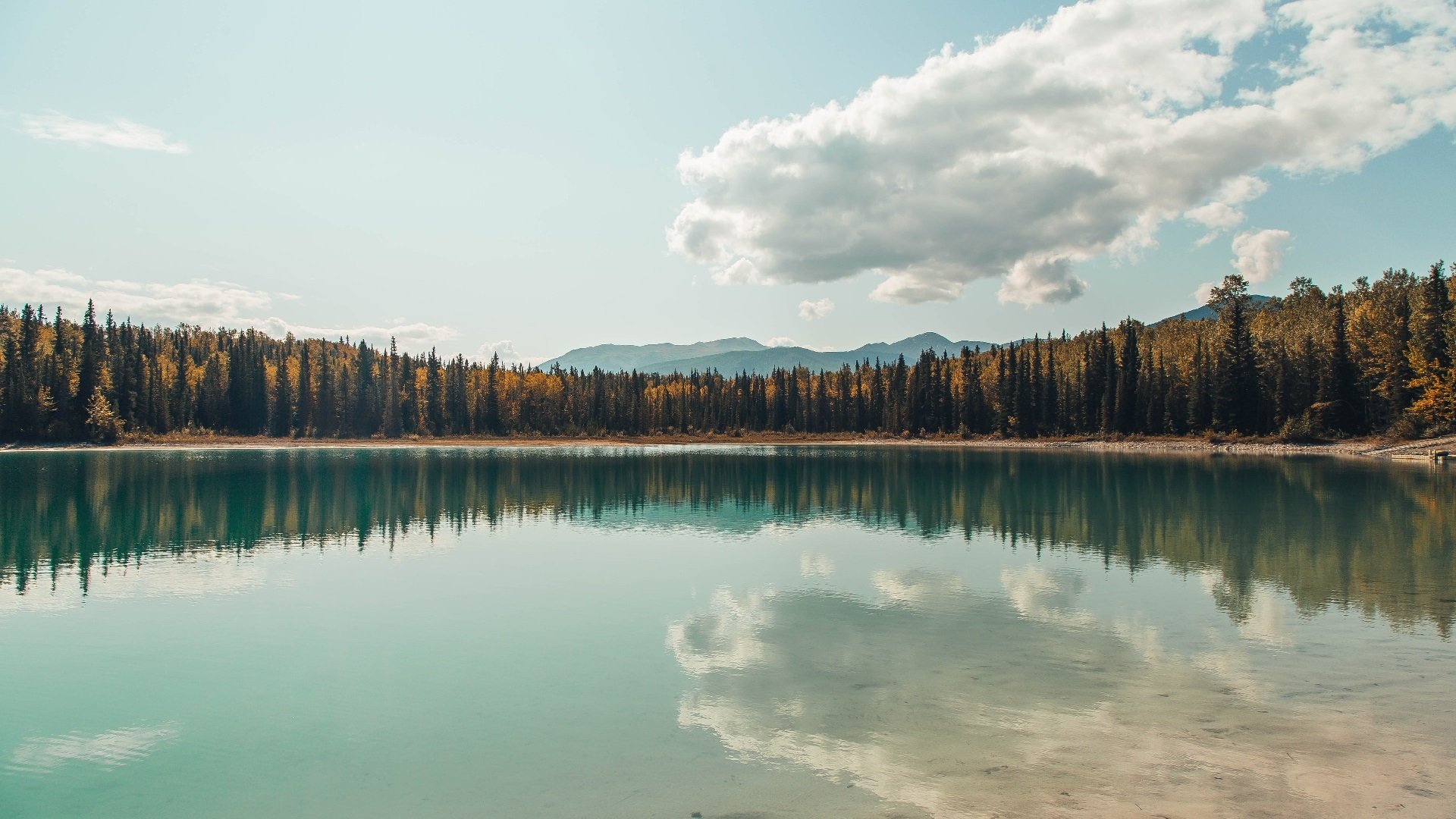 《电竞行业投融资热潮持续升温,资本看好未来》,电竞产业投融资管理
